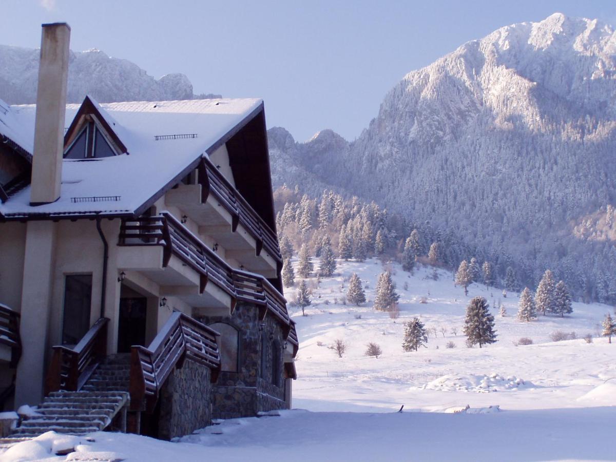Taverna Pietrei Craiului Zărneşti Exterior foto